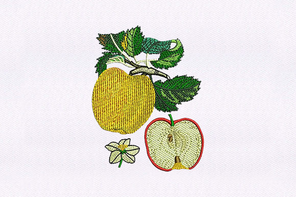 Apple and Half Apple: A Seasonal Embroidery Review