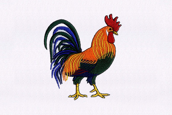 Brahma Chicken Embroidery Design: A Seller's Review