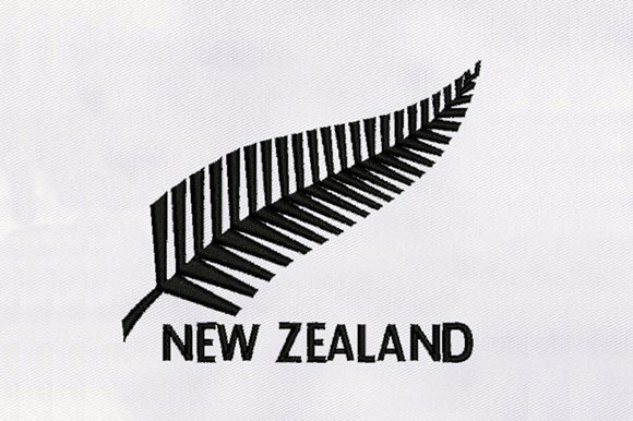 New Zealand Symbol – A Designer's Review for Real Embroidery Projects