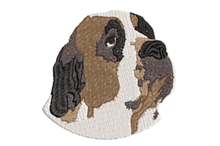 Realistic Saint Bernard: An Honest Embroidery Design Review